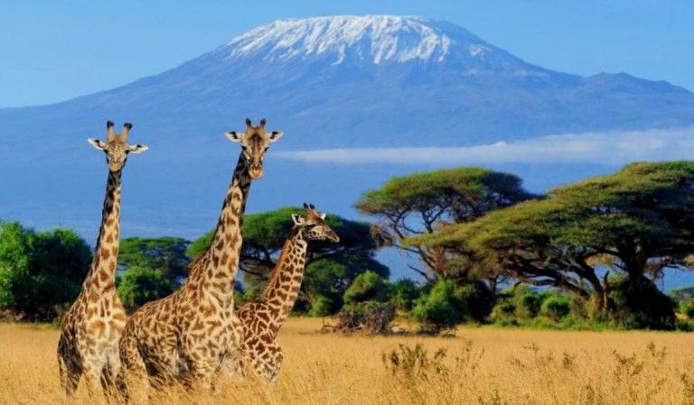 offerte viaggi Kenya Gennaio