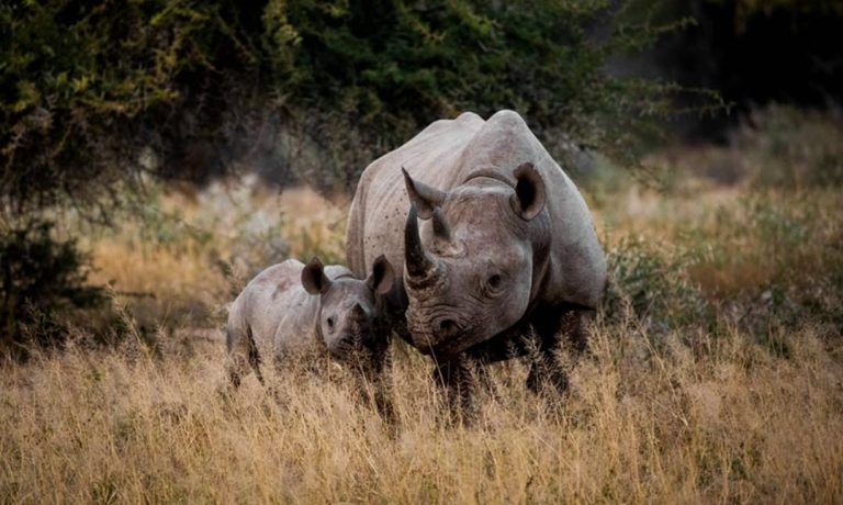 offerte viaggi Sudafrica Luglio