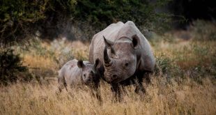 offerte di viaggi Sudafrica Gennaio