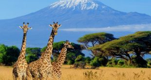 offerte di viaggi Kenya Settembre