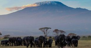 offerte di viaggi Tanzania Gennaio
